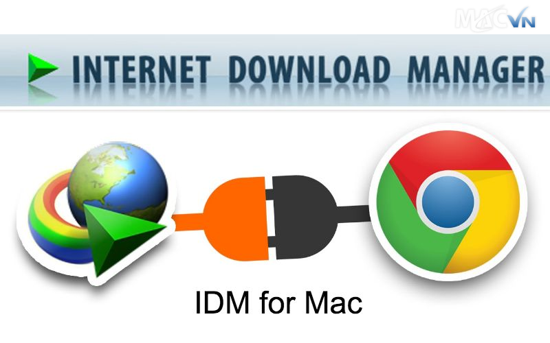 Internet Download Manager hỗ trợ download nhanh hơn 