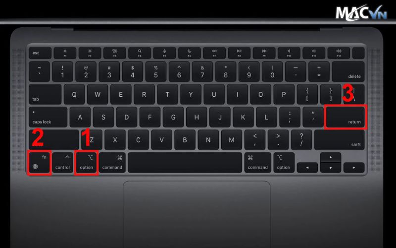 Cách xuống dòng trong Excel Mac bằng tổ hợp phím Option + fn + Enter