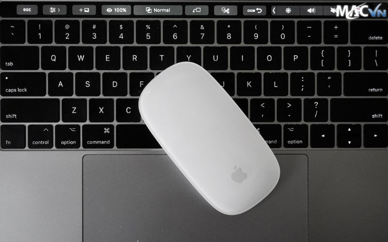 Chuột Magic Mouse