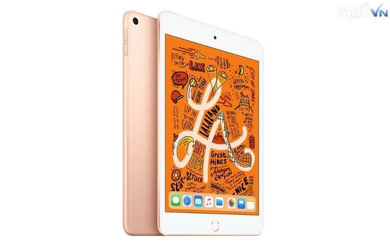 iPad Mini 5 cũ 