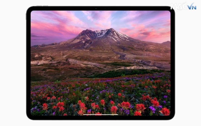 Trải nghiệm màn hình sắc nét của iPad Pro M4 13 inch 5G 