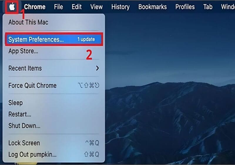 Chọn System Preferences