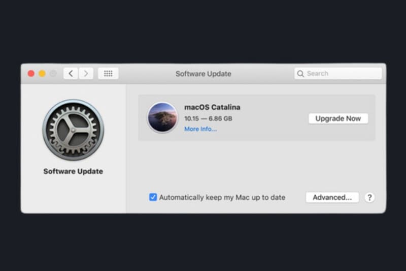 Nhấn Update Now hoặc Upgrade Now