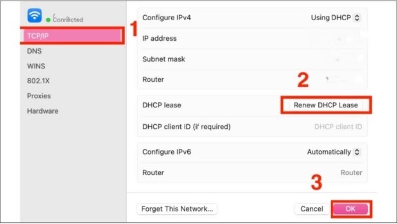 Tại mục IPv4 Address bạn chọn Renew DHCP Lease